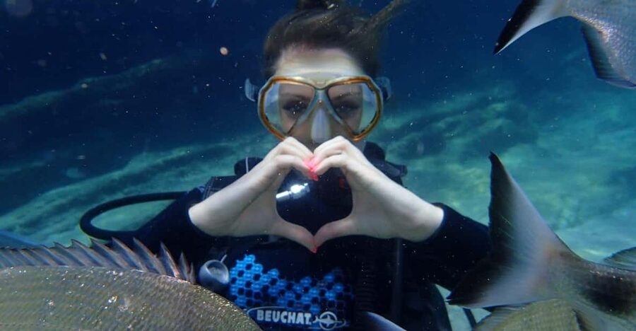 Antalya Scuba Diving Tour, With Lunch & Return Transfers - From Hotel Gate to Setur Marina: The Day’s Timeline