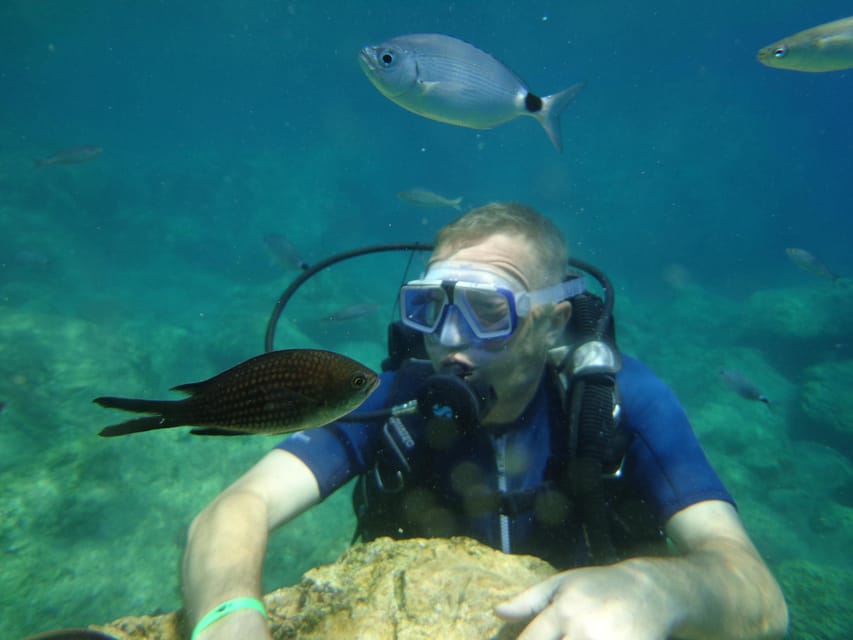 Antalya Scuba Diving Tour, With Lunch & Return Transfers - Lunch, Swimming Break, and Marti Island’s Second Session