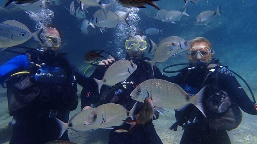 Antalya Scuba Diving Tour, With Lunch & Return Transfers - Who This Tour Fits Best, and Who Should Skip It