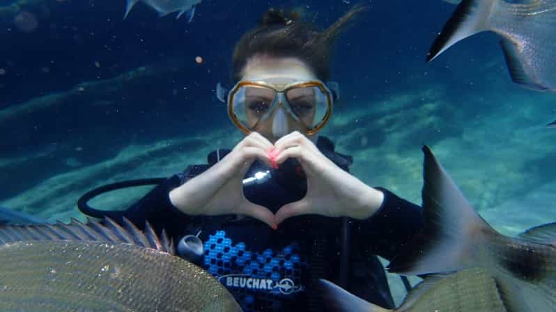 Antalya Scuba Diving Tour, With Lunch & Return Transfers - Price and What You Actually Get for $38