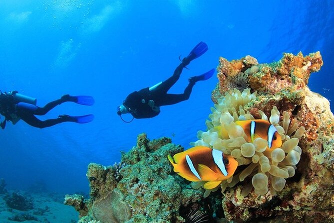 Antalya Scuba Diving With Transfer From Belek,Lara,Kemer Hotels - Between Sessions: Lunch and Reset Time on a Long Day