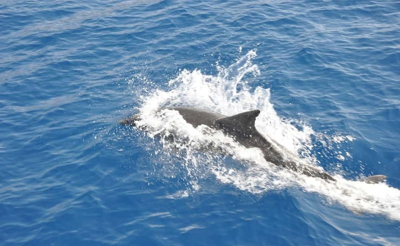 Antalya: Suluada Island Cruise with Dinner and Sunset - Practical tips that make the day smoother