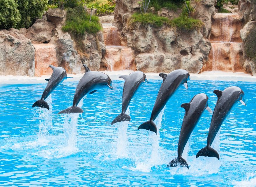 Antalya: The Land Of Legends Ticket Theme Park w/ Transfer - What I’d pack and how to avoid a soggy, uncomfortable day