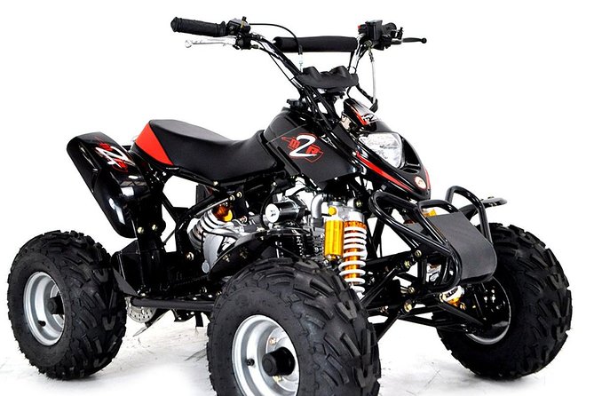 ATV Adventure Antalya with Hotel Pick-Up - Stop 1, Topallı: pines, beech trees, and village views from the ATV