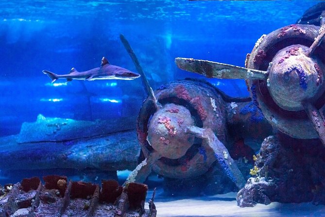 Belek: Antalya Aquarium Ticket With Optional Transfer - Antalya Aquarium: what you should expect from the exhibits