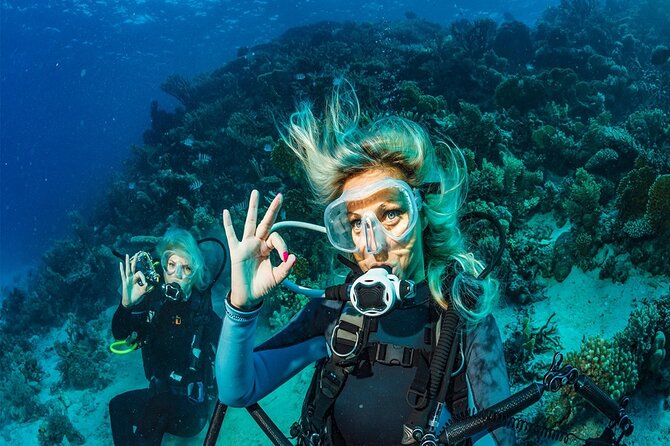 Belek Scuba Diving Experience (2 Dives) With Lunch - What the day feels like, from pickup to return