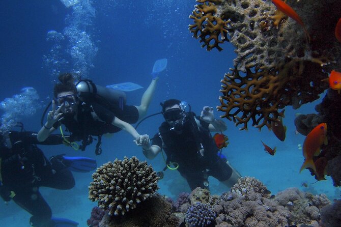 Belek Scuba Diving Experience (2 Dives) With Lunch - Kemer on the schedule: what you can realistically expect