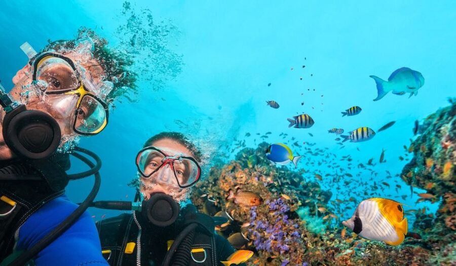 Belek: Scuba Diving in the Mediterranean Sea - What you’ll see in the Mediterranean, and why the two sites matter