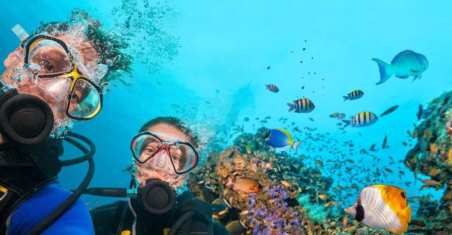 Belek: Scuba Diving in the Mediterranean Sea - Two underwater sessions with real coaching, not just gear