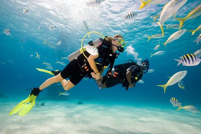 Diving Tour from Antalya or Kemer with Lunch - Key points worth knowing before you go