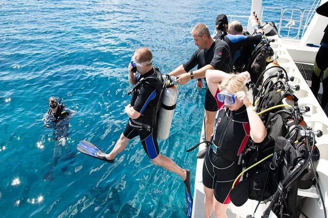 Diving Tour from Antalya or Kemer with Lunch - Pickup, communication, and the Antalya or Kemer logistics that matter