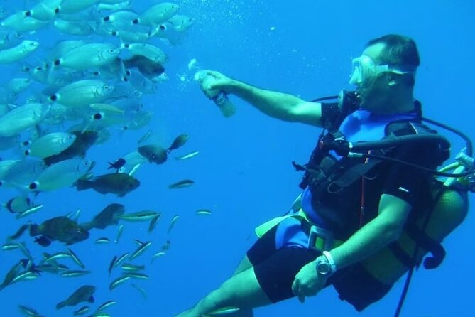 Diving Tour from Antalya or Kemer with Lunch - Who this tour fits best, and who should think twice