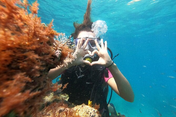 Diving with optional Pick Up - Drop Off from Antalya - Morning underwater session: boat time and what you might see