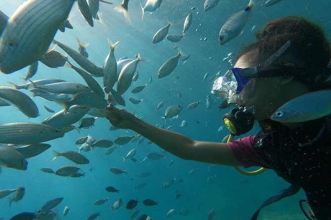 Diving with optional Pick Up - Drop Off from Antalya - Price, inclusions, and what you may want to add