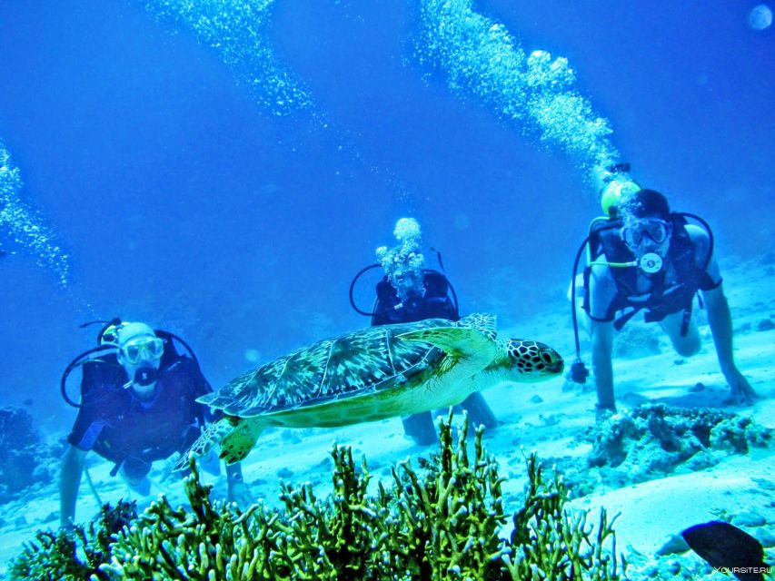 From Antalya| Kemer: Diving Tour with Experienced Instructor - Key points to know before you go