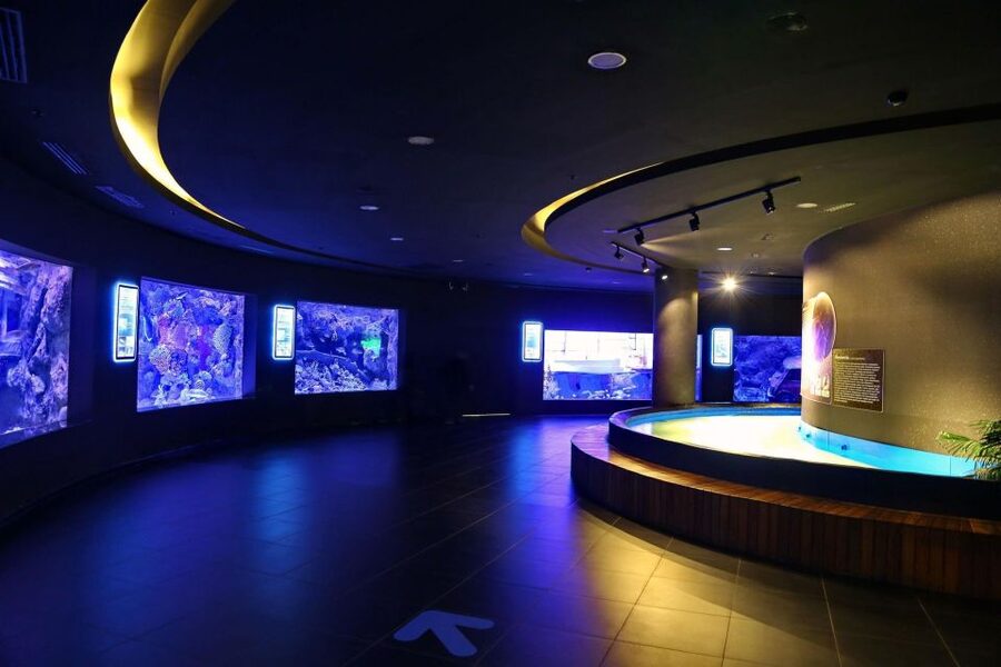 From city of Side: Antalya Aquarium Full-Day Trip - Antalya Aquarium: caves, deserts, and the sound of the sea