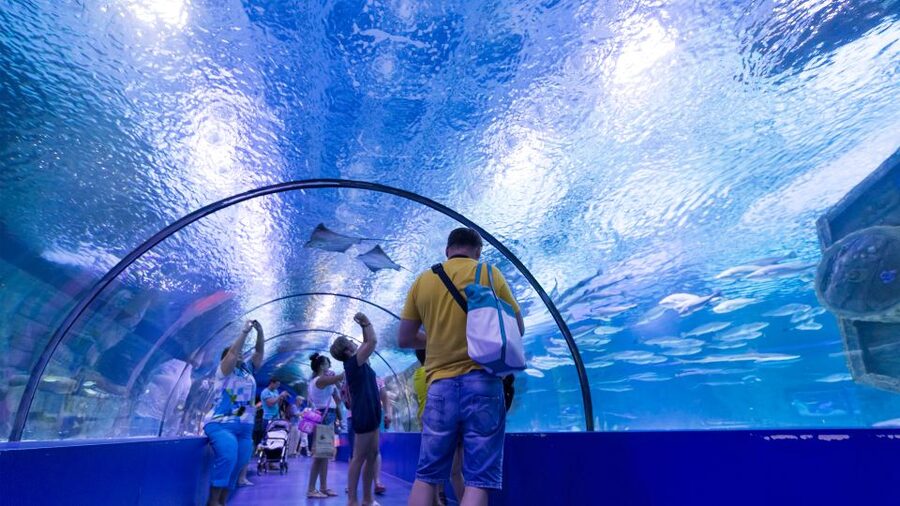 From city of Side: Antalya Aquarium Full-Day Trip - Who this trip suits best (and who should consider another plan)