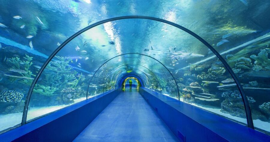 From city of Side: Antalya Aquarium Full-Day Trip - Booking call: should you go?