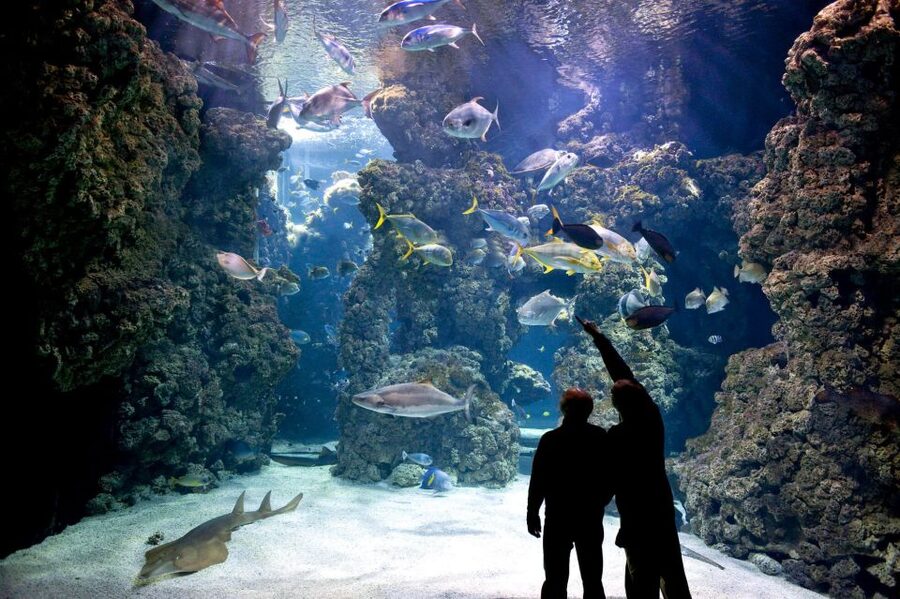 From city of Side: Antalya Aquarium Full-Day Trip - FAQ