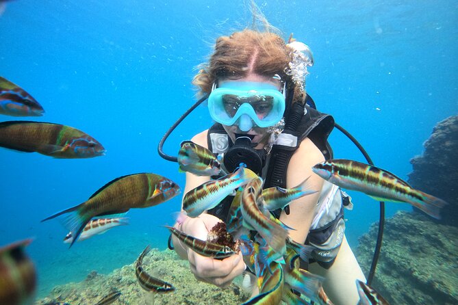 Half Day Scuba Diving @ Duden Waterfalls - Your scuba session: equipment, guidance, and how many times you go in