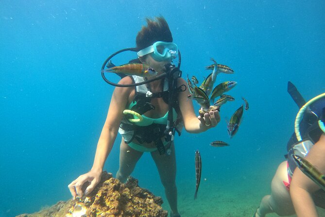 Half Day Scuba Diving @ Duden Waterfalls - What the underwater experience is really like in Antalya