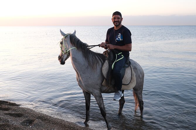 Horse back Riding in Antalya - Horseback at Lara Beach, forest trails, and golden-hour timing