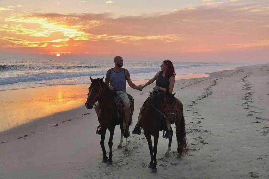 Horse Riding and Training Experience on a Farm in Antalya - Key things to know before you go