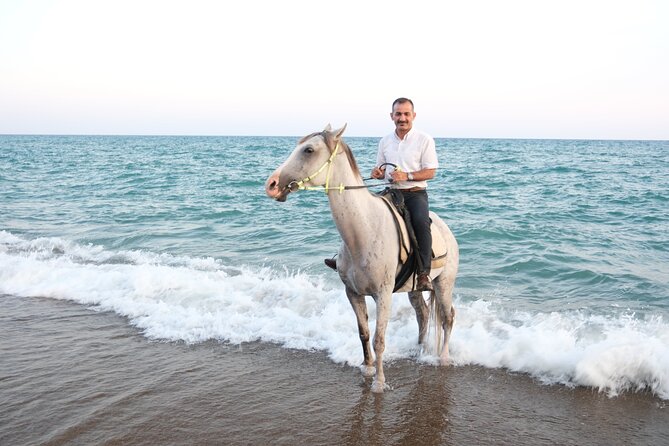 Horseback Riding on the Beach and through the Forest - Key Highlights Worth Your Time