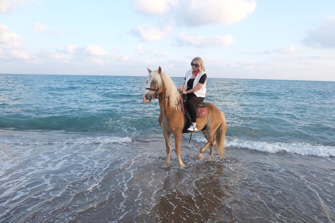 Horseback Riding on the Beach and through the Forest - What Beginner Riders Should Know About Trained Horses and Guide Support