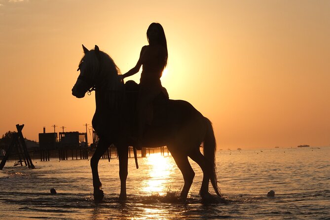 Horseback Riding on the Beach and through the Forest - Included vs Not Included: Photos, Video, and Practical Expectations