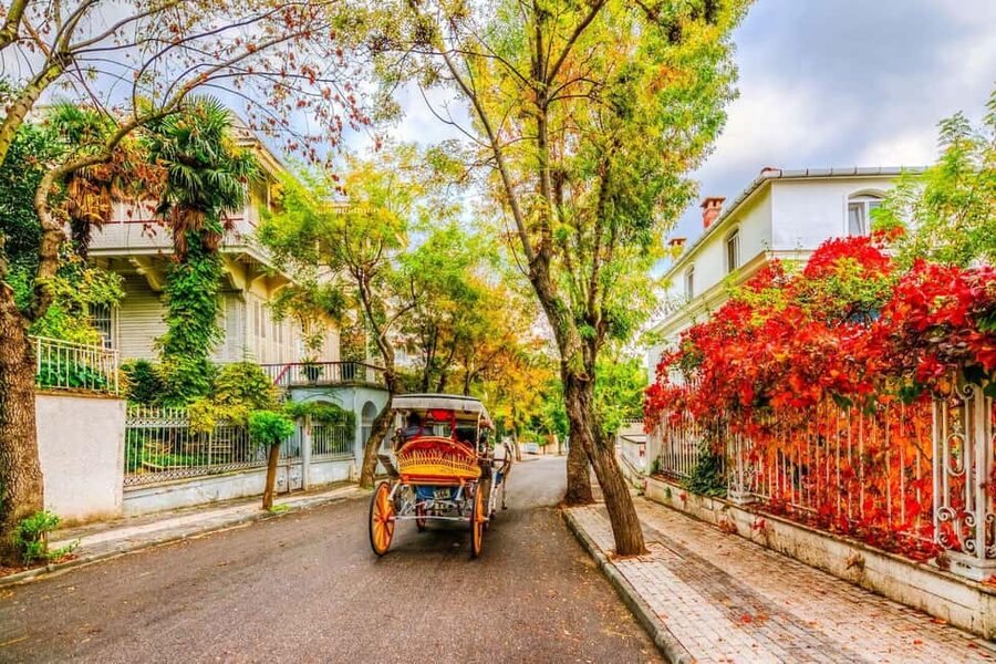 Istanbul: Princes' Islands Cruise with Lunch and Guide - Getting to Cibalı Port: Timing, Transfers, and the Practical Side of Istanbul
