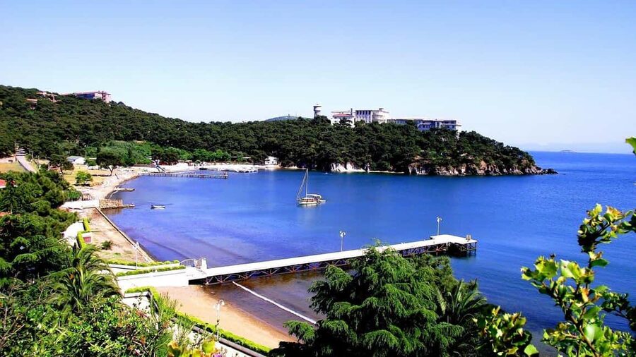 Istanbul: Princes' Islands Cruise with Lunch and Guide - Büyükada Stop: Car-Free Charm, Aya Yorgi Views, and Beach Time