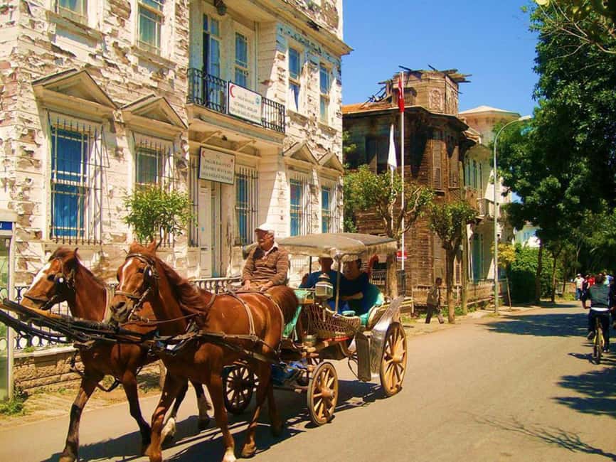 Istanbul: Princes' Islands Cruise with Lunch and Guide - Sultanahmet Leather Shop Stop: Fun Shopping, Real Istanbul Location
