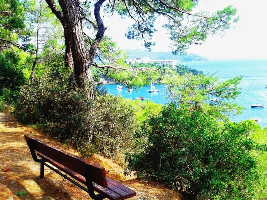 Istanbul: Princes' Islands Cruise with Lunch and Guide - What the Reviews Show, Without Turning It Into a Sales Pitch