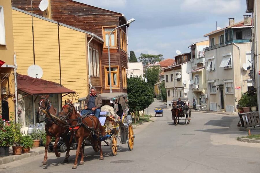 Istanbul: Princes' Islands Cruise with Lunch and Guide - Heybeliada Stop: Pine Forest Calm, Halki Seminary, and Slow Walking