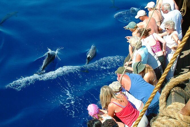 Kemer Boat Trip from Antalya, Belek, Kemer - Phaselis Break: How to Use Your Extra Time Wisely
