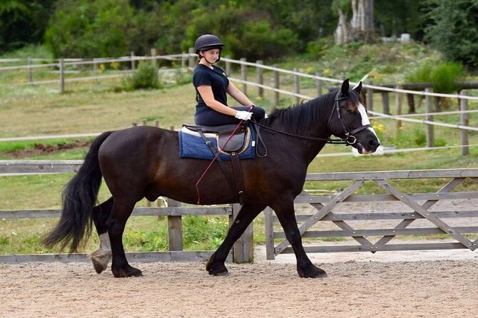 Kemer Horse Riding Experience with Transfer - Key highlights before you go