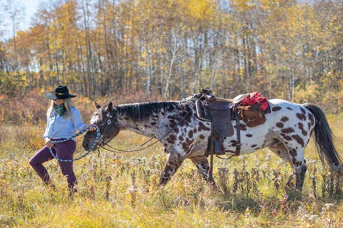 Kemer Horse Riding Experience with Transfer - What to bring, how fit you need to be, and rider expectations