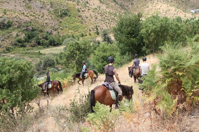 Kemer Horse Safari Experience With Free Hotel Transfer - The pre-ride briefing: control the horse without guesswork