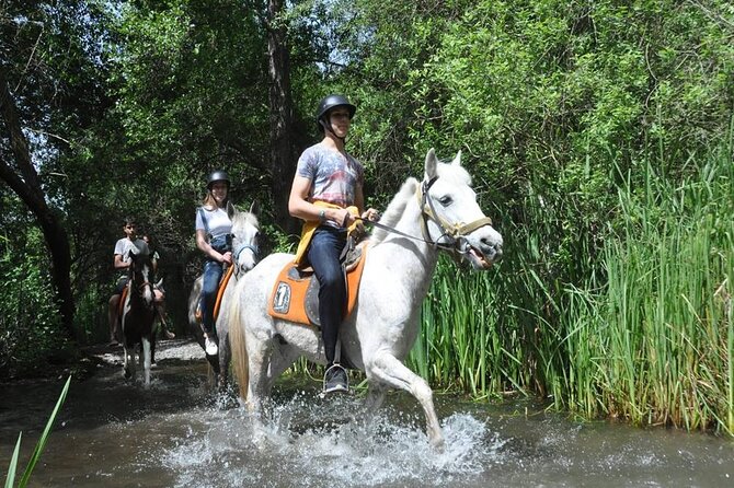 Kemer Horse Safari Experience With Free Hotel Transfer - The 1-hour horseback safari: what you will actually do