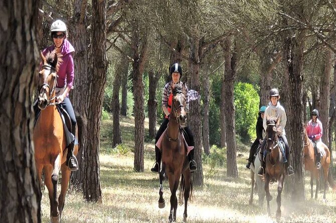 Kemer Horse Safari Experience With Free Hotel Transfer - Price and value: is $60 a fair deal?