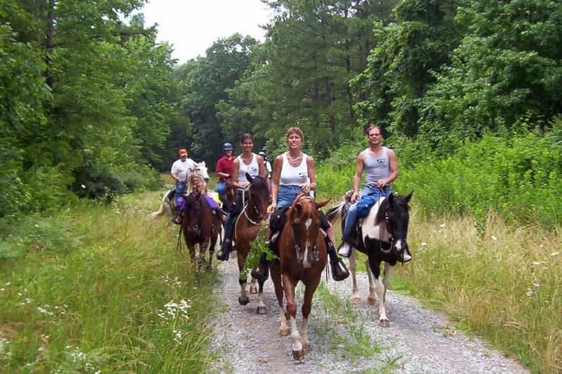 Kemer Horse Safari, pick up from Kiris, Beldibi, Goynuk - What makes it worth your time