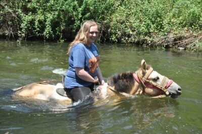 Kemer Horse Safari, pick up from Kiris, Beldibi, Goynuk