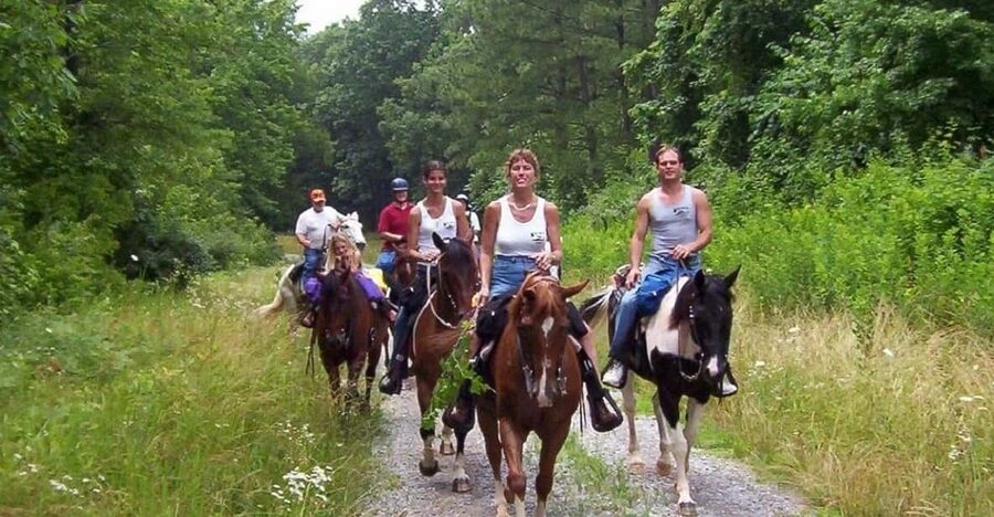 Kemer Horse Safari, pick up from Kiris, Beldibi, Goynuk - The orientation and lesson: how they set beginners up