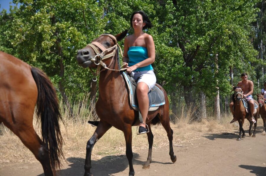 Kemer Horse Safari, pick up from Kiris, Beldibi, Goynuk - Pace and horse handling: what to expect if things are calmer