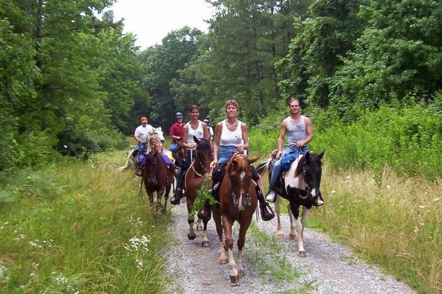 Kemer Horse Safari, pick up from Kiris, Beldibi, Goynuk - Companions and family planning: what friends do while you ride