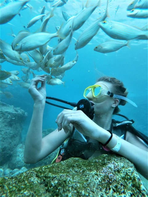 Kemer: Scuba Diving Experience in Aquarium and Kiris Bays - Aquarium Bay: your first underwater views and the hand-feeding moment
