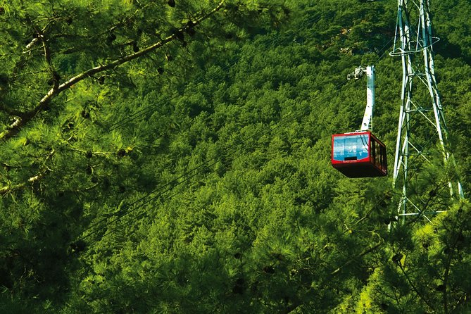 Olympos Teleferik Cable Car Antalya Ticket - Price and value: is $34.84 worth it?