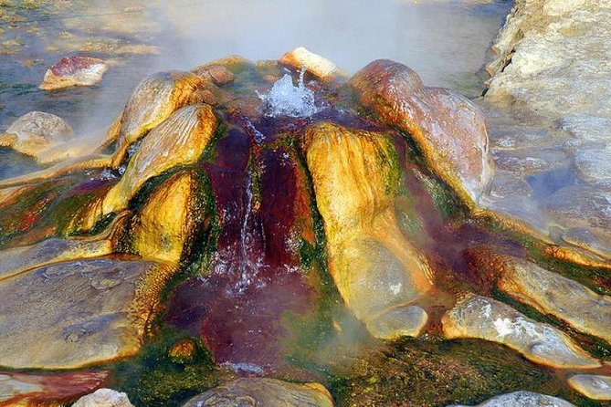 Pamukkale, Cleopatra’s pool, Hieropolis from Antalya with lunch - Antalya to Pamukkale logistics: Pickup, start times, and how the day flows