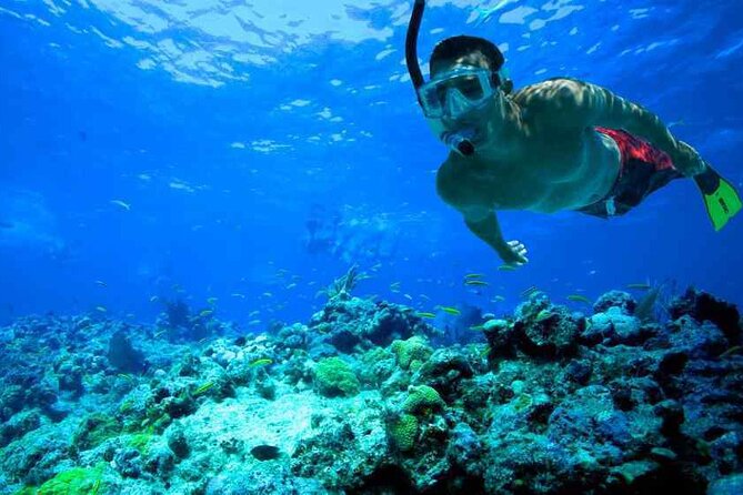 Private Daily Boat Tour ! - Your swim breaks and lunch buffet on board